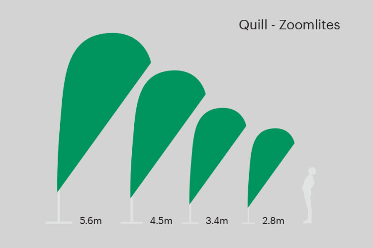 Zoom Lite quill sizes