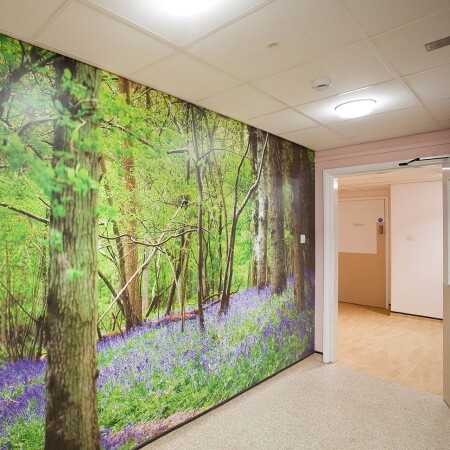Birmingham Women’s Hospital - woodlands graphics
