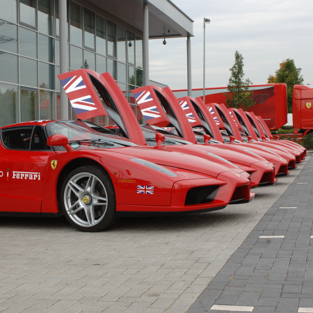 Ferrari Enzo Sponsor Graphics