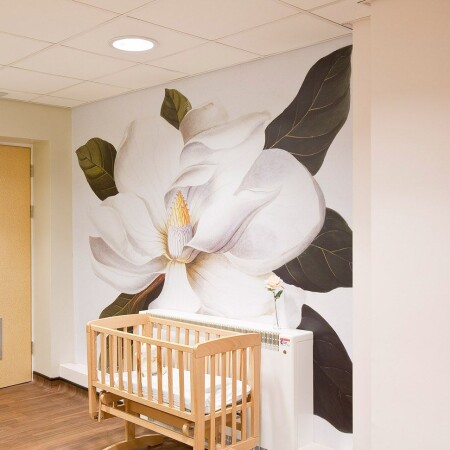 Birmingham Women’s Hospital - flower graphics