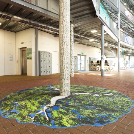 Nature Floor Graphics at A School