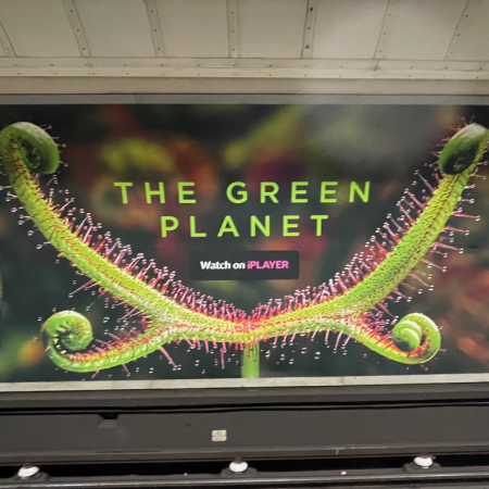 Wall branding for Green planet TV series