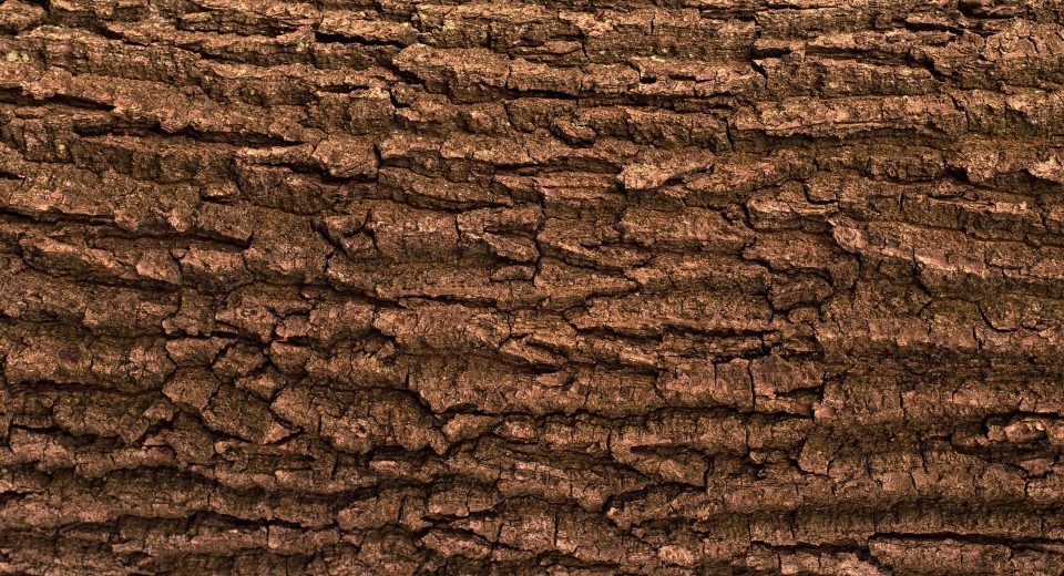 Wood.
